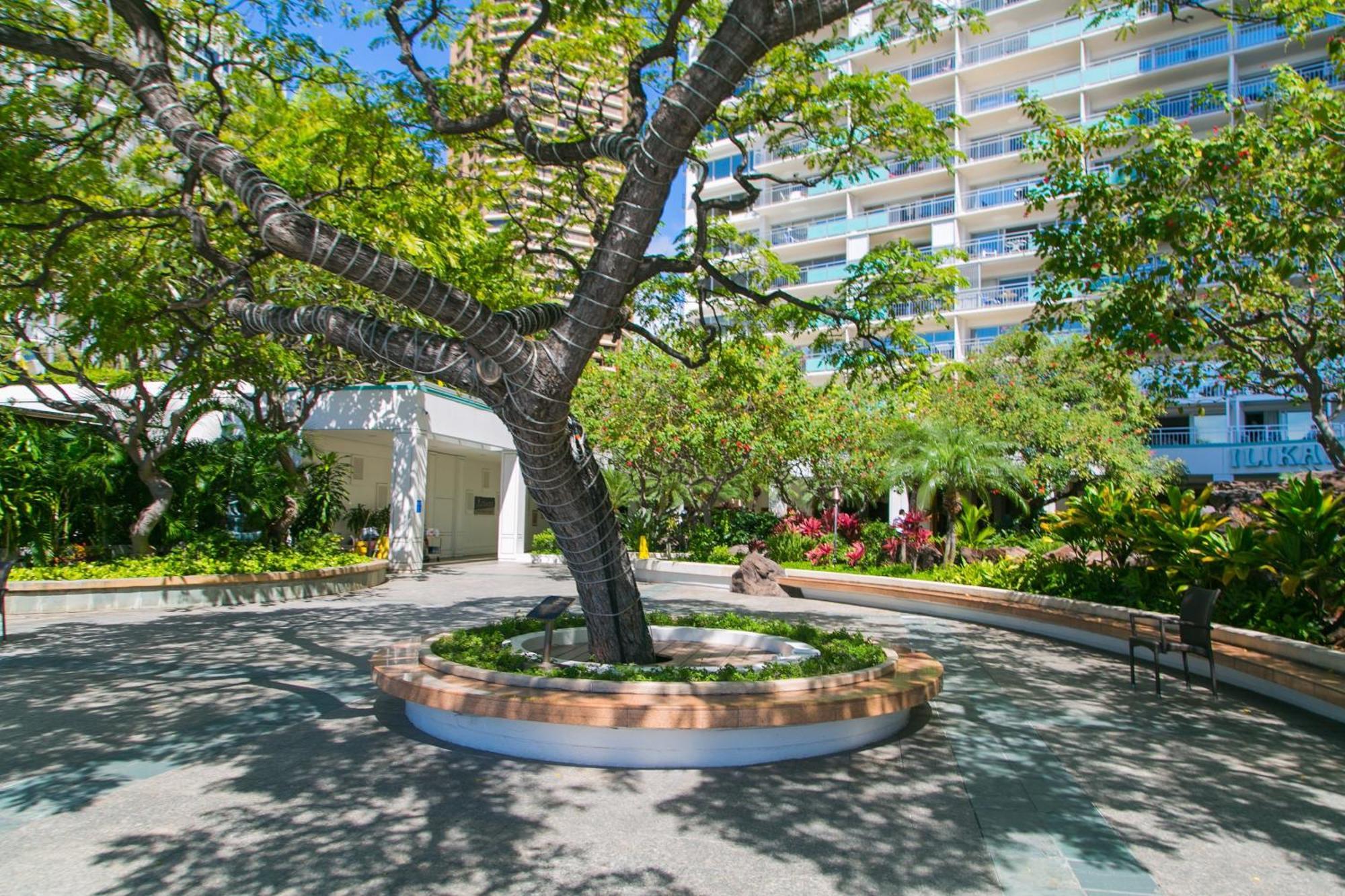 Ilikai Tower 931 Yacht Harbor View 1Br Daire Honolulu Dış mekan fotoğraf